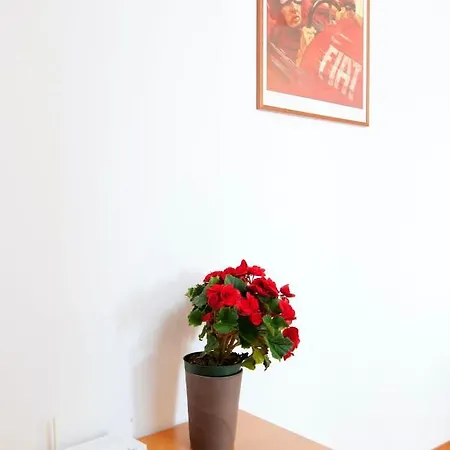 Via Alberto Lupo Apartment Rome